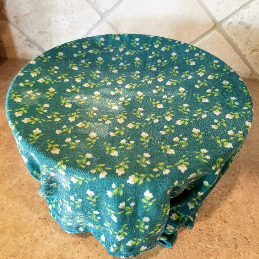 3 Let the Dough Rise 2.jpg