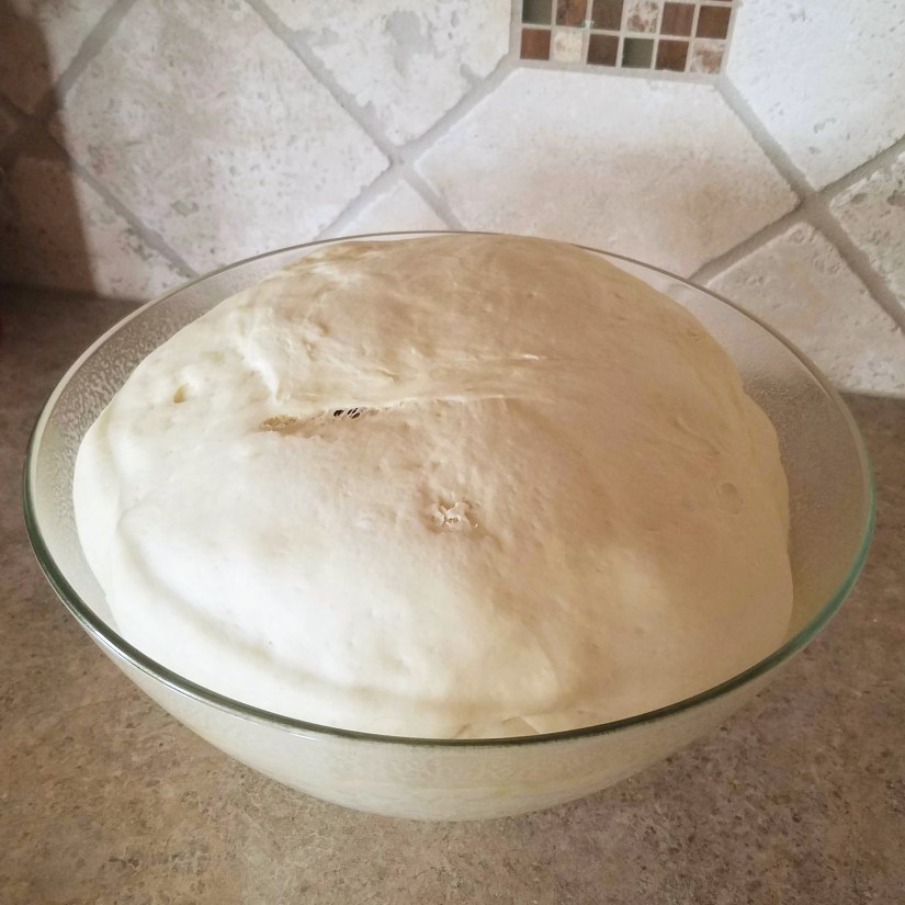 3 Let the Dough Rise 3.jpg